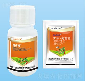 �ǵø�������-��������