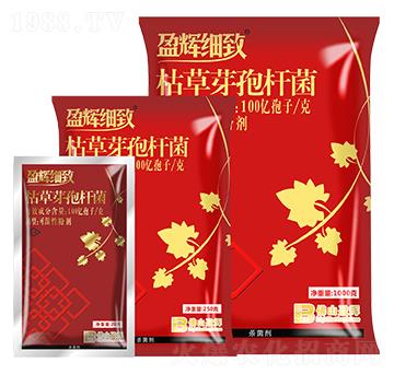 100�|����ÿ�˿ݲ�ѿ�ߗU��-ӯ�x��(x��)��-ӯ�x