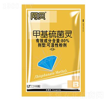 80%�׻�����`-��ؐ-ӯ�x