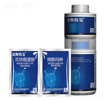 23.4%�pȲ������+50%ϩ������-ӯ�x�Տ�(f��)-ӯ�x