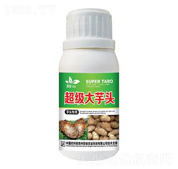 ���^�����~���-���������^-�￡�ʘI(y��)