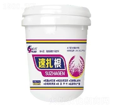 速扎根-施力奇-裕田高科