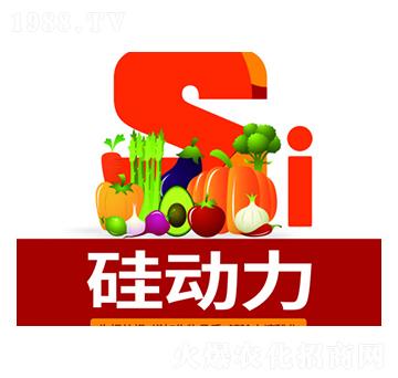 硅動力-萬事達(dá)