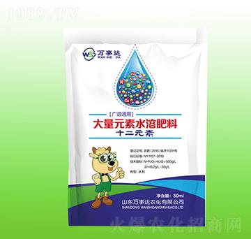 十二元素大量元素水溶肥-萬事達
