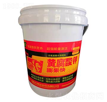 �S����⛣�Ͱ��-����-�f���_(d��)