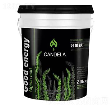 ���ך������ϑB(t��i)ֲ�ﵰ�נI(y��ng)�B(y��ng)��-�����_(d��)-�f���_(d��)