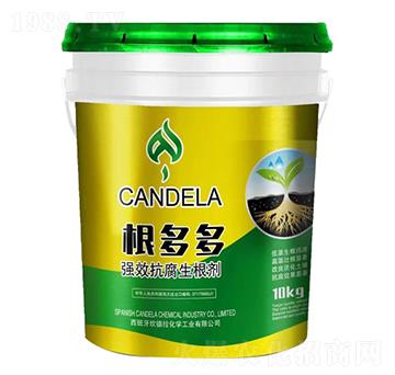 ����࿹��������-�f���_(d��)