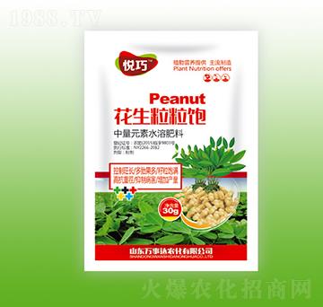 花生粒粒飽-悅巧-萬(wàn)事達(dá)