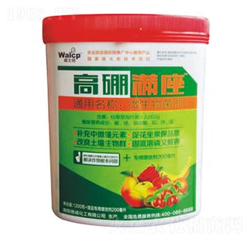 高硼滿(mǎn)座-傲威