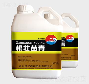 根壯苗青沖施肥-海韻肥業(yè)