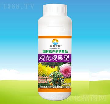 觀花觀果型-四海匯農(nóng)