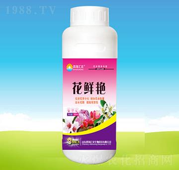花鮮艷-四海匯農(nóng)