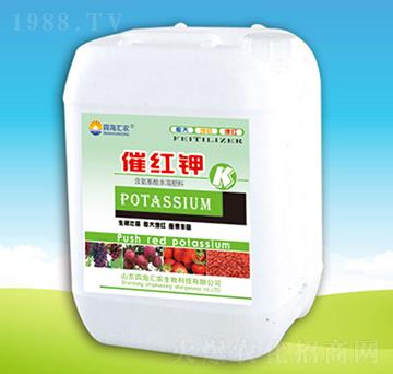 催紅鉀-四海匯農