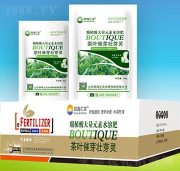 茶葉催芽壯芽靈-四海匯農(nóng)