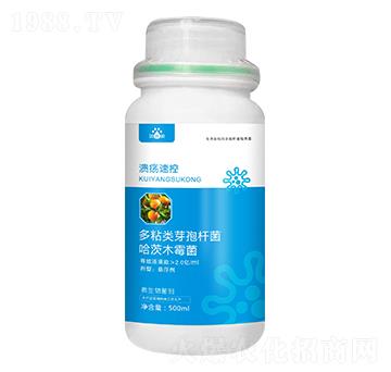 �����ٿ�-��p�p-�������