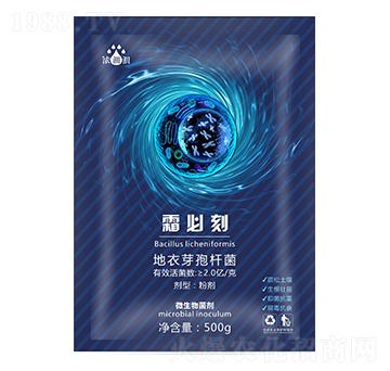 ˪�ؿ̣�΢���������-��p�p-�������