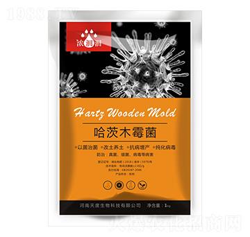 ����ľù��-��p�p-�������