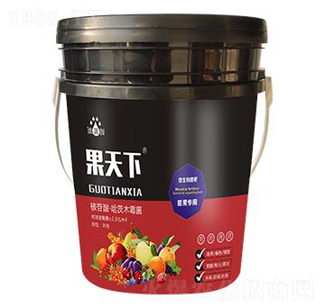 �����£������(zhu��n)�ã�-��p�p-�������