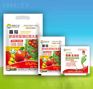番茄臍腐防裂增紅膨大素-四海匯農(nóng)