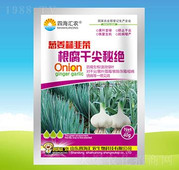 蔥姜蒜韭菜根腐干尖秘絕-四海匯農(nóng)