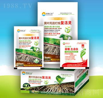 黃葉死苗爛根復(fù)活靈-四海匯農(nóng)