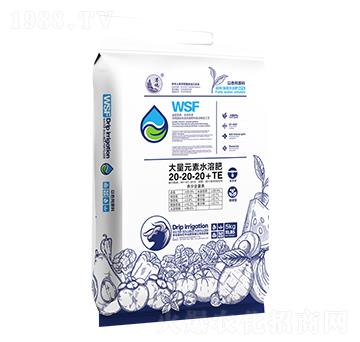5kg大量元素水溶肥20-20-20+TE-遠洋眾德