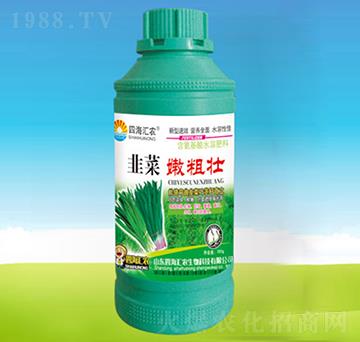 韭菜嫩粗壯-四海匯農(nóng)