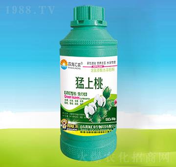 猛上桃-四海匯農(nóng)