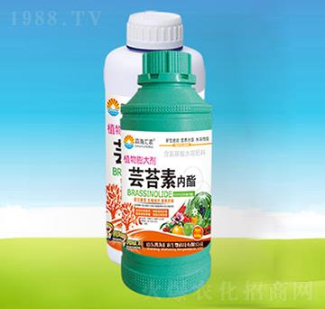 蕓苔素內(nèi)酯-四海匯農(nóng)