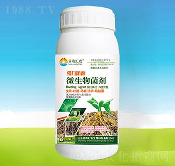 強(qiáng)力防腐微生物菌劑-四海匯農(nóng)