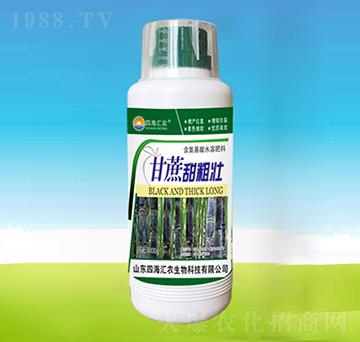 甘蔗甜粗壯-四海匯農(nóng)