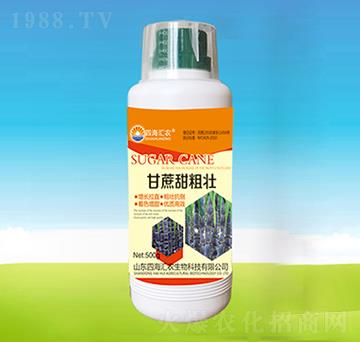 20kg甘蔗甜粗壯-四海匯農(nóng)