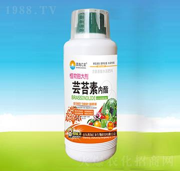 蕓苔素內(nèi)脂-四海匯農(nóng)