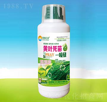 黃葉死苗一噴綠-四海匯農(nóng)