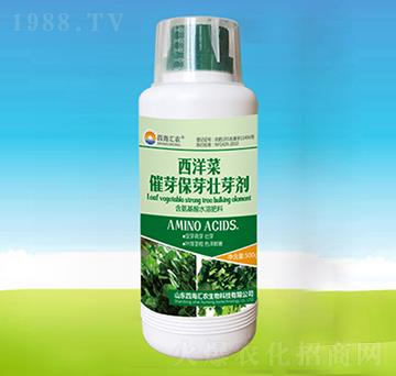 西洋菜催芽保芽壯芽劑-四海匯農(nóng)