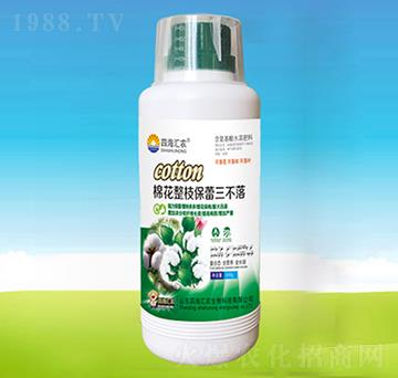 棉花整枝保蕾三不落-四海匯農