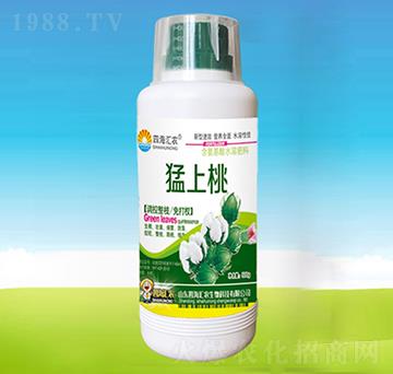 猛上桃-四海匯農(nóng)