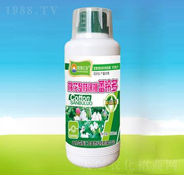 棉花整枝保桃蕾鈴多-四海匯農