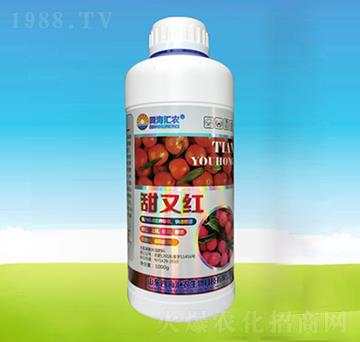 甜又紅-四海匯農(nóng)