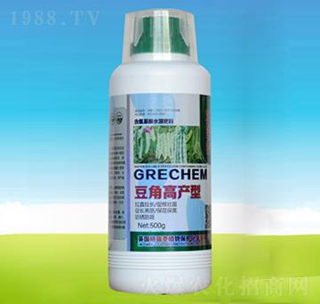 豆角高產(chǎn)型-四海匯農(nóng)