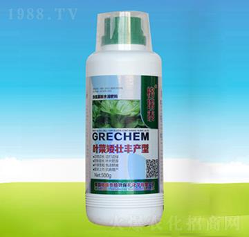 葉菜矮壯豐產(chǎn)型-四海匯農(nóng)