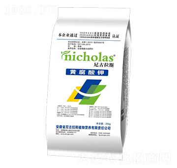 �S�����-�����˹