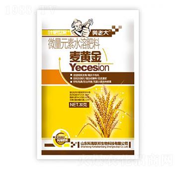 ���S��-�S�ϴ�-�ƺ�(li��n)