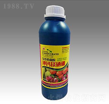 ��}�V����-��̫�(y��ng)�ʘI(y��)