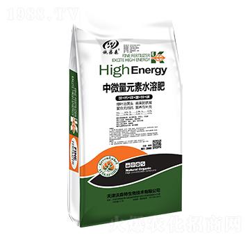 ��΢��Ԫ��ˮ�ܷ�-ʩ��ɭ-��ɭ��