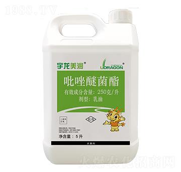 250��ÿ�������Ѿ�����5����-��������(r��n)-��������