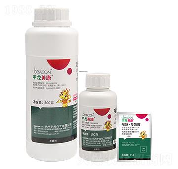 ���ѡ�������M��-��������-��������