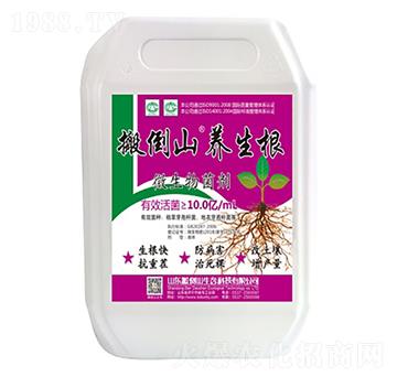 ΢�������-�ᵹɽ�B(y��ng)����-�ᵹɽ