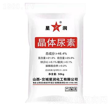 ���w����-�ǝ�(r��n)����