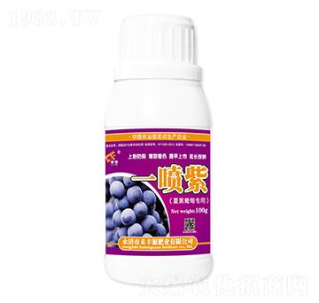 夏黑葡萄專用一噴紫-禾豐源肥業(yè)